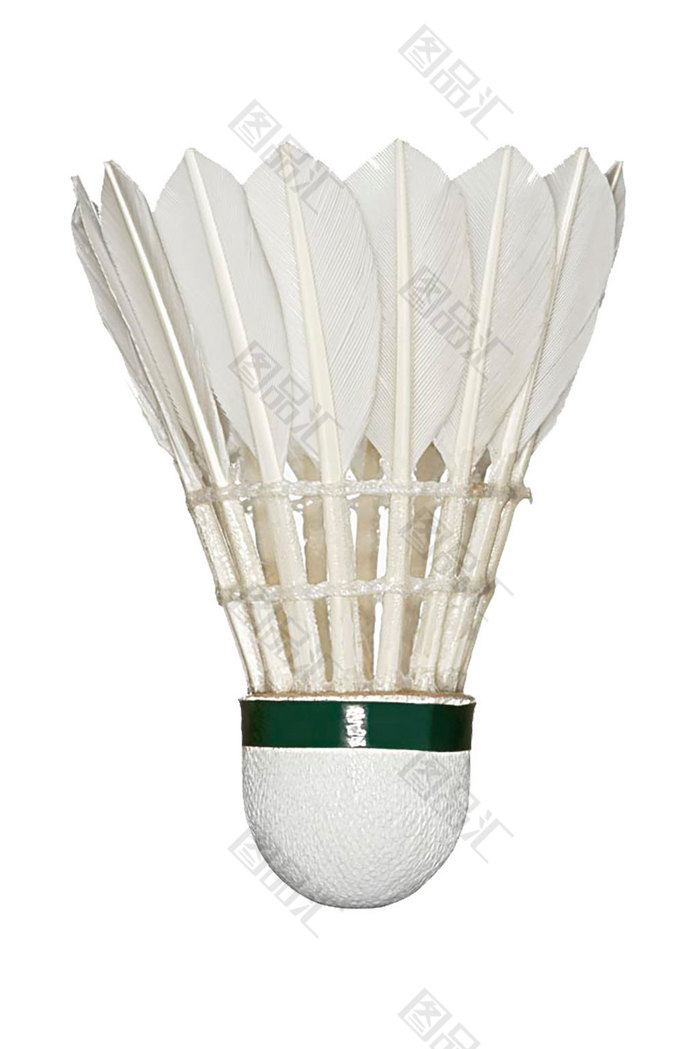 力的新星 力的新星