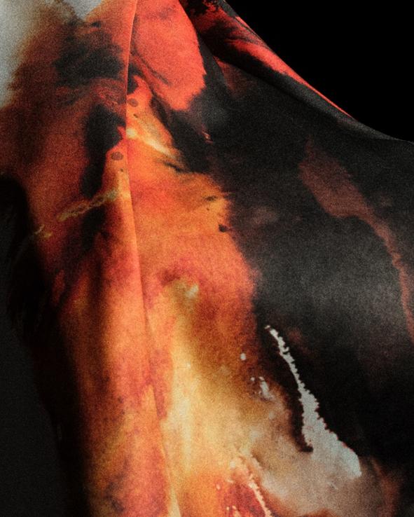 拍到的照片 拍到的照片