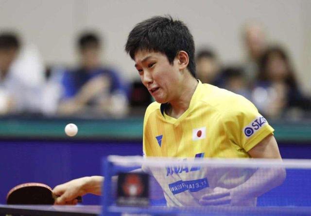 费尔南德斯 费尔南德斯