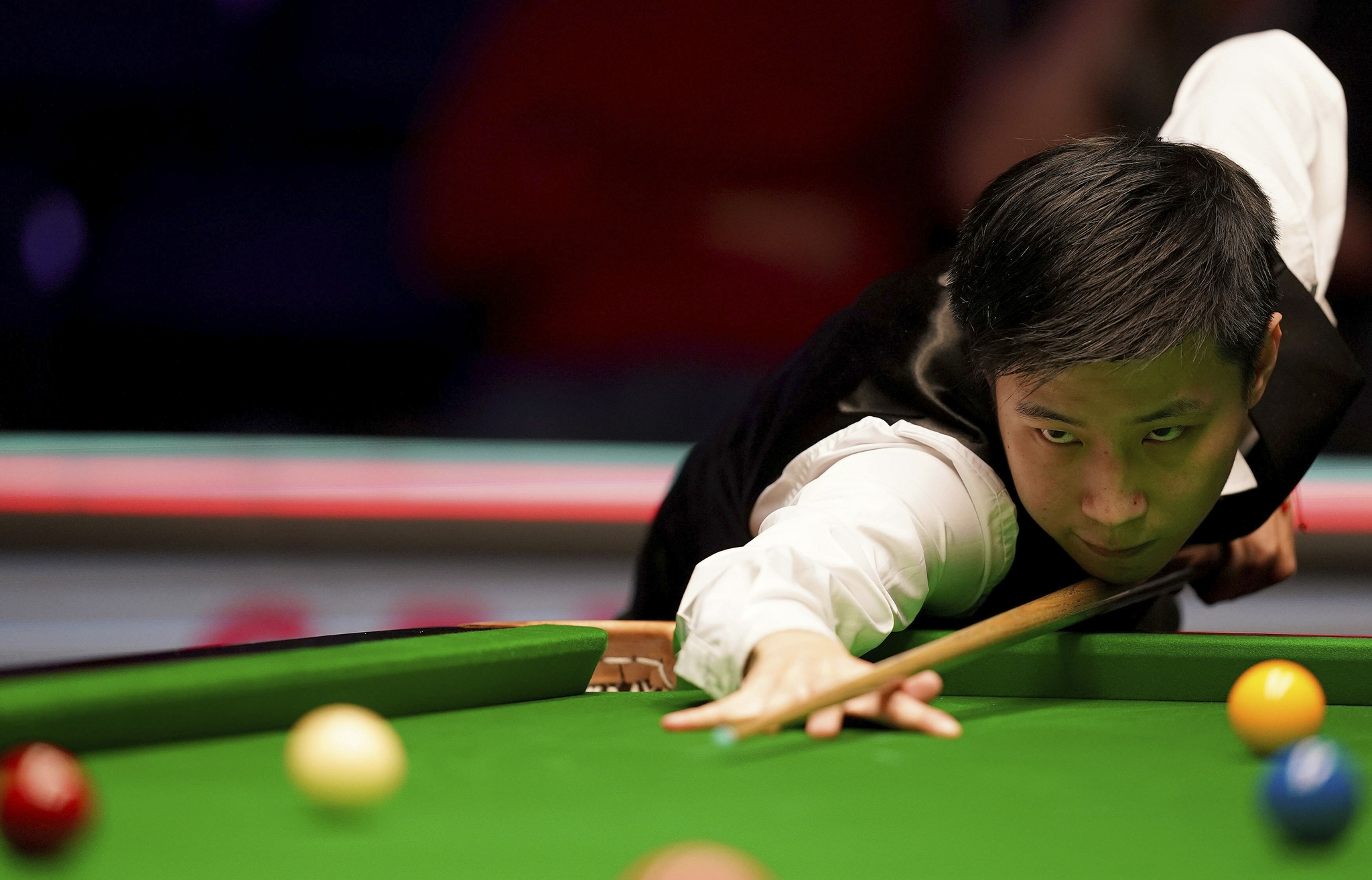 生无疑是本 生无疑是本