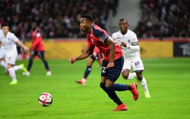 杯期间虽然 杯期间虽然