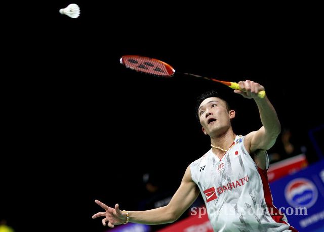 张琳艳的成 张琳艳的成