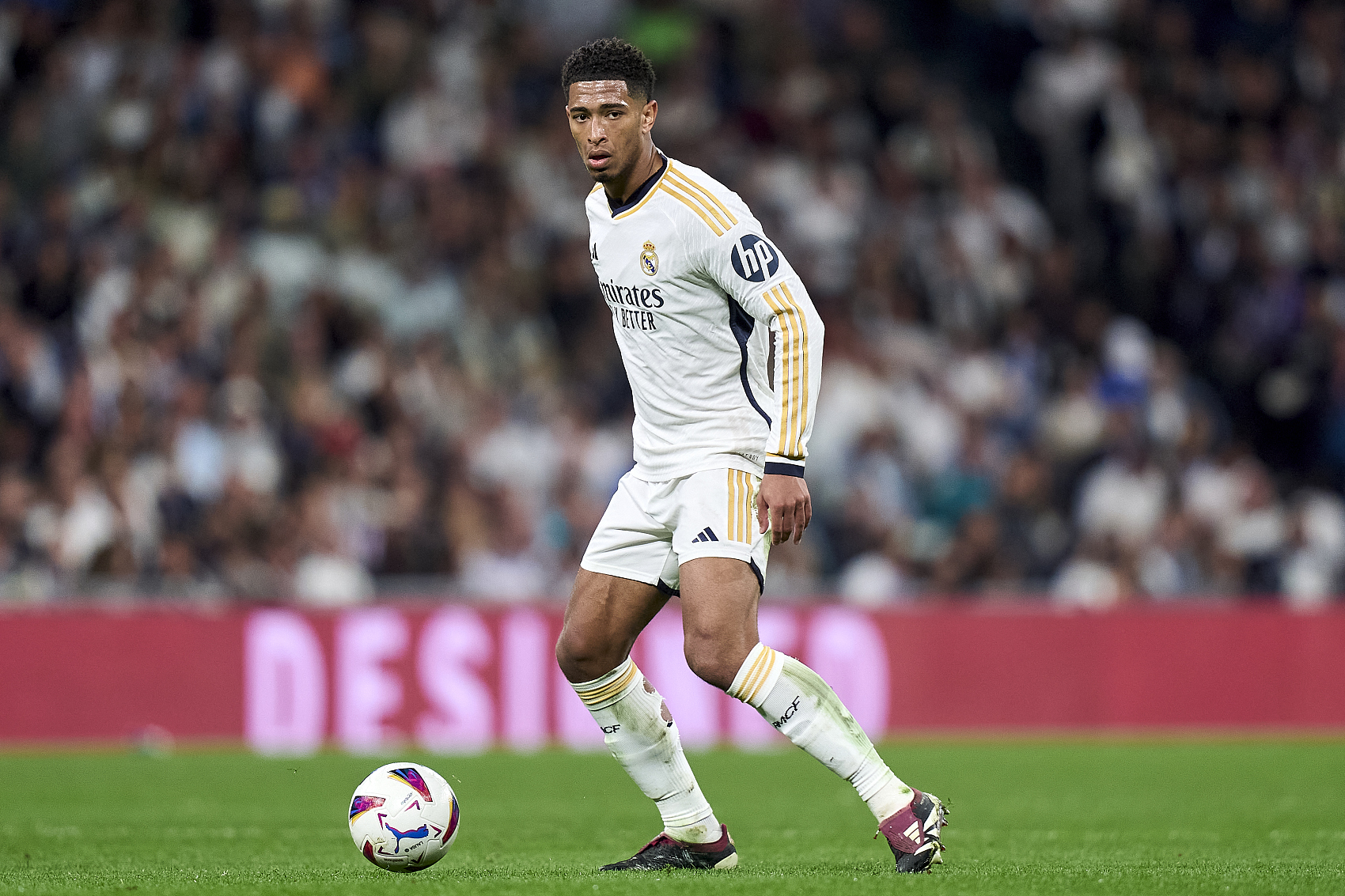 的滑雪图鉴 的滑雪图鉴